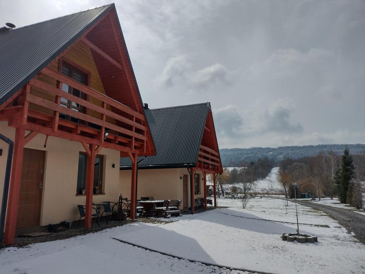 Domki Brzozowka W Bieszczadach Ustrzyki Dolne Exterior photo