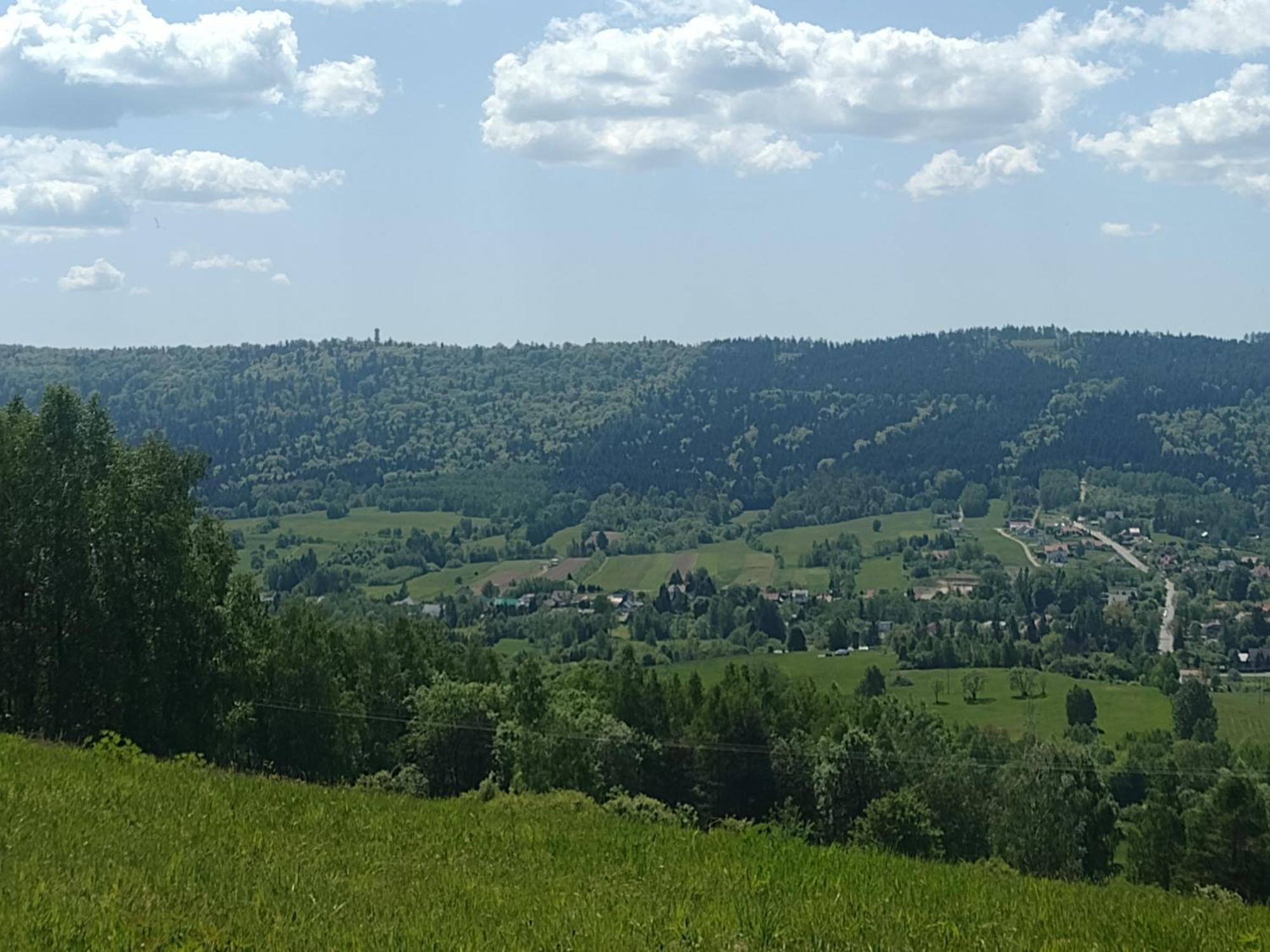 Domki Brzozowka W Bieszczadach Ustrzyki Dolne Exterior photo